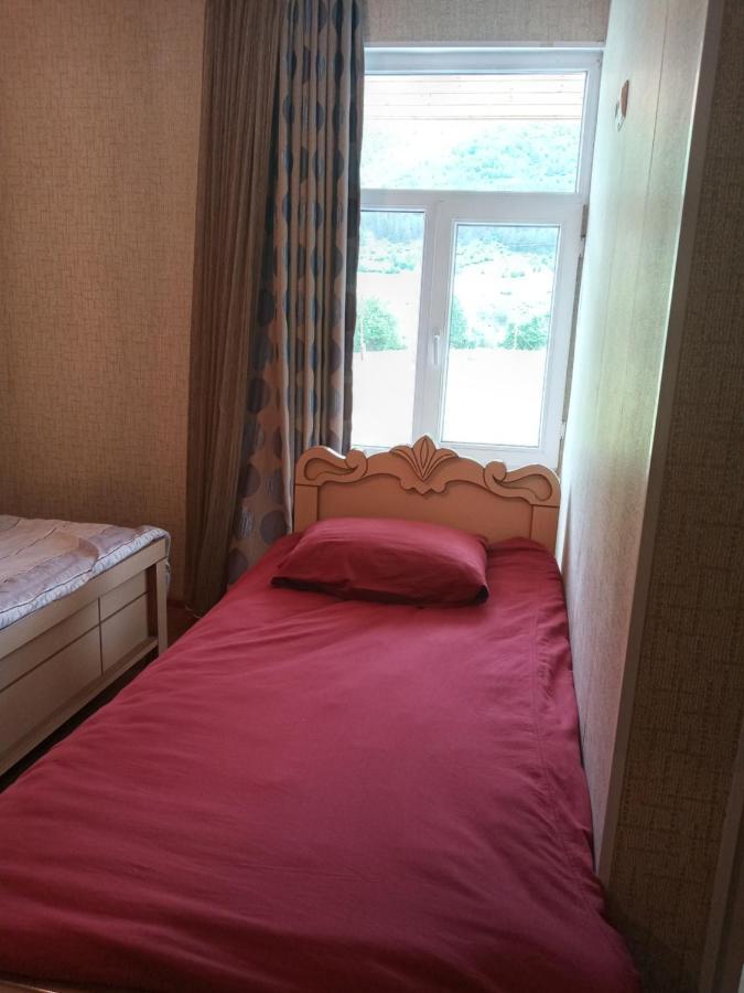 Guest House Tavaduri 메스티아 외부 사진